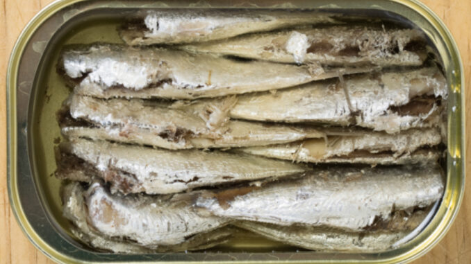 sardine, konzervirana hrana, zdravlje