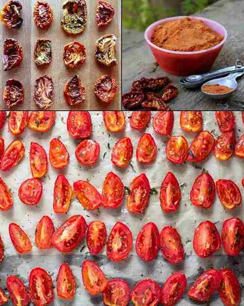 Don’t Let Your Tomatoes Go to Waste: Pretvorite ih u ukusni prah od paradajza!