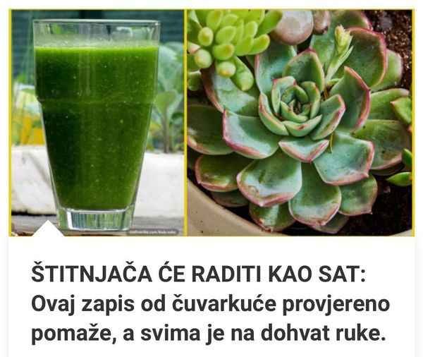 https://zdravsvet.com/stitnjaca-ce-raditi-kao-sat-ovaj-zapis-od-cuvarkuce-provjereno-pomaze-a-svima-je-na-dohvat-ruke#