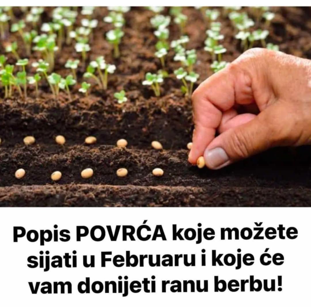 POPIS POVRĆA koje možete sijati u Februaru i koje će vam DONIJETI ranu berbu!