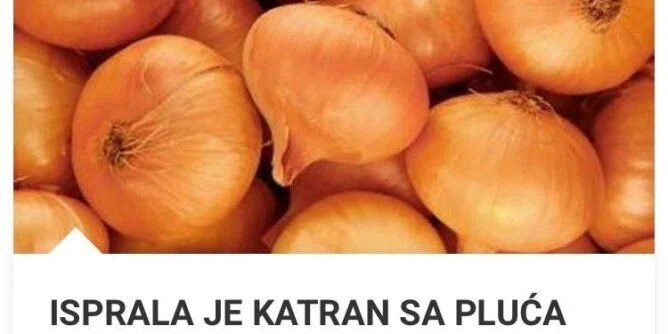 Za ovaj napitak koji čisti pluća, potrebno vam je: 400 grama luka 1 litra vode 400 grama šećera (želite li zdraviju varijantu koristite med ili javorov sirup) 2 kašike kurkume korijen đumbira veličine palca Priprema: Vodi dodajte šećer, stavite na vatru i pustite da vri. Glavice luka narežite na četvrtine, raskomadajte koren đumbira i oboje dodajte u zašećerenu vodu. Kad mešavina ponovno vri dodajte kurkumu te smanjite vatru na laganu temperaturu. Mešavina neka se kuva sve dok se količina vode ne smanji za pola. Zatim je procedite i stavite u staklenu posudu. Kada se potpuno ohladi stavite je u frižider. Uzmite dve kašičice eliksira ujutro na prazan stomak i dva sata posle obroka. Uporan kašalj karakterističan je simptom bakterijskih ili virusnih infekcija disajnih organa, koje prati i gusti sekret u grlu, sinusima i plućima. U nastavku članka predstavljamo vam rešenja kako izbaciti šlajm iz pluća prirodnim putem. Recepti za prirodne lekove Ukoliko vas muči šlajm u grlu i plućima, fitoterapeuti preporučuju napitke na bazi lekovitog bilja koji podstiču izbacivanje šlajma i ublažavaju uporni kašalj. Za eliminisanje gustog i nagomilanog sekreta koriste se napitci na bazi korena belog sleza, žalfije, lovora i crne rotkve. Beli slez za izbacivanje šlajma kod odraslih Preliti kašiku usitnjenog korena belog sleza sa 2 dl hladne vode i ostaviti poklopljeno da odstoji 6 do 8 sati, a zatim procediti i piti u manjim gutljajima. Ovako pripremljen čaj za iskašljavanje šlajma, pijte do dva puta dnevno i to bez šećera i rezultati neće izostati. Beli slez, lan i žalfija za izbacivanje šlajma kod dece Kao izuzetno efikasan prirodni lek za bolje izbacivanje šlajma kod dece i odraslih pokazao se beli slez u zanimljivoj čajnoj mešavini sa lanenim semenkama i žalfijom. Pomešati po kašiku korena belog sljeza, kašiku lanenog semena i kašiku supe žalfije. Sipati 2,5 decilitra vode u šerpu, pa dodati 100 g žutog šećera. Kada se šećer otopi, dodati mešavinu biljaka i jedan limun dobro opran i sečen na kriške. Kuvati na umerenoj temperaturi 15 minuta, a zatim skloniti sa vatre i procediti. Uzimati kašičicu sirupa 4 puta na dan sve dok se ne oseti poboljšanje. Sirup za iskašljavanje šlajma je najbolje čuvati u frižideru. Rotkva i crveni luk Kako izbaciti šlajm iz pluća kod odraslih uz pomoć crne rotkve i crvenog luka? Sipati u blender 2,5 decilitra limunovog soka, jednu punu šolju meda, jednu osrednju glavicu crvenog luka isečenog na komade, šest čenova belog luka i jednu veću crnu rotkvu, oljuštenu i isečenu na komadiće. Blendati sve dok se ne dobije fina homogena smesa. Zatim sipati u staklenu teglu i čuvati u frižideru, pa ostaviti da odstoji nedelju dana. Nakon toga, tri puta dnevno uzimajte ovaj sirup za iskašljavanje šlajma i to po jednu kašiku, 30 min. prije glavnih dnevnih obroka. Prirodni lijekovi za iskašljavanje šlajma iz pluća i sinusa Šlajm iz grla i pluća, kao i gust sekret iz sinusa često nam zadaju velike probleme tokom zime. Inhalacija sinusa slanom vodom sama po sebi nije dovoljna, da bi se u potpunosti oslobodili neprijatnog sekreta. U nastavku pročitajte još nekoliko odličnih narodnih recepata za izbacivanje šlajma. Sirup od piva i smeđeg šećera za iskašljavanje šlajma iz grla U veću činiju sipati 150g smeđeg šećera i zagrejati na umerenoj temperaturi dok se ne otopi i dobije karamel boja, a zatim dodati 5 decilitara piva i kuvati 20 minuta dok se ne dobije sirup gustine malo ređe od meda. Skloniti šerpu sa vatre i ostaviti poklopljeno da se ohladi, a zatim sirup za izbacivanje šlajma presuti u odgovarajuću staklenu teglu i čuvati u frižideru. Uzimajte po supenu kašiku pre najvažnijih obroka tri puta tokom dana. Prirodni lek za iskašljavanje šlajma kod dece Jedno od rešenja kako izbaciti šlajm kod dece nudi nam i blagi čaj od lipe. Ako ga koristite više dana, ublažit ćete kašalj i ubrzati izbacivanje nataloženog sekreta. Ovaj čaj za iskašljavanje takođe podstiče i znojenje, što je važno u slučaju gripa, prehlade i nazeba. Pije se uvek dok je još vruć izjutra i uveče, a priprema se vrlo jednostavno: Dve male supene kašičice cveta lipe preliju sa 5 dl proključale vode, a zatim se ostavi 20 minuta da odstoji nakon čega se dobro procedi. Čaj zasladite kvalitetnim medom, dodati mu dosta soka od limuna i uzimajte po jednu kafenu kašičicu svaki put kad osetite nadražajni kašalj. Kako izbaciti šlajm iz grla i nosa uz pomoć lovorovog lista? Rastopiti na umerenoj temperaturi 250 g žutog šećera dok ne porumeni, ali paziti da ne zagori. Dodati 2,5 dl vode, 3 kašičice žalfije i 3 izmrvljena lista lovora. Kada provri, kuvati još 3 minuta, a onda skloniti sa šporeta i ostaviti poklopljeno da se ohladi. Čuvati u staklenoj flaši, na hladnom i tamnom mestu. Ovaj pripravak konzumirati 3-4 puta dnevno kad naiđe napad kašlja. Sirup za iskašljavanje šlajma uzimati redovno, sve dok se ne izbaci sav sekret.