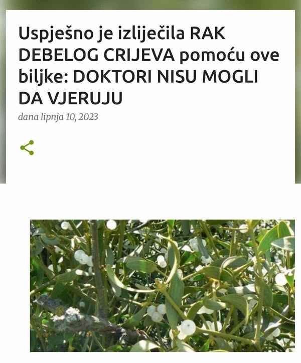 Uspješno je izliječila RAK DEBELOG CRIJEVA pomoću ove biljke: DOKTORI NISU MOGLI DA VJERUJU