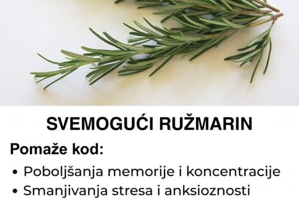 Svemogući ružmarin – Koristite ga ovako i otklonite sve vaše probleme koje imate