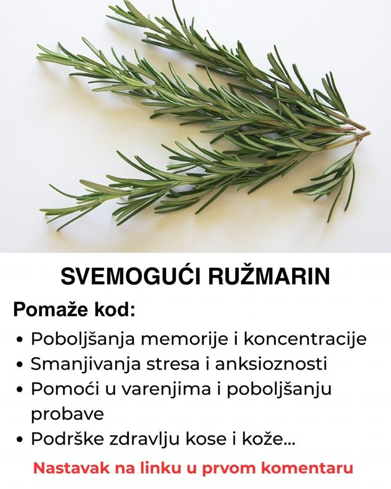 Svemogući ružmarin – Koristite ga ovako i otklonite sve vaše probleme koje imate