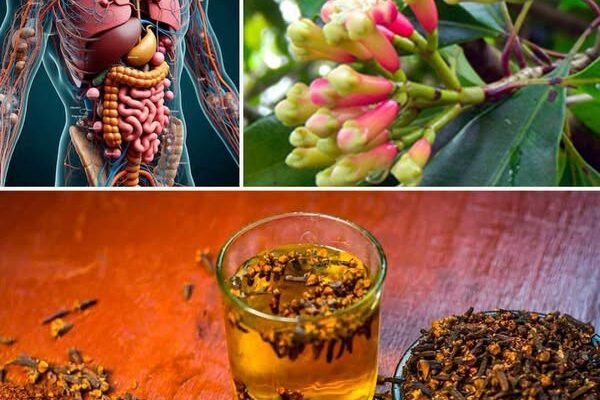 8 iznenađujućih prednosti vodenih karanfilića za koje verovatno niste znali