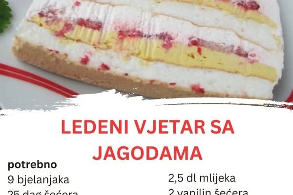 LEDENI VJETAR SA JAGODAMA