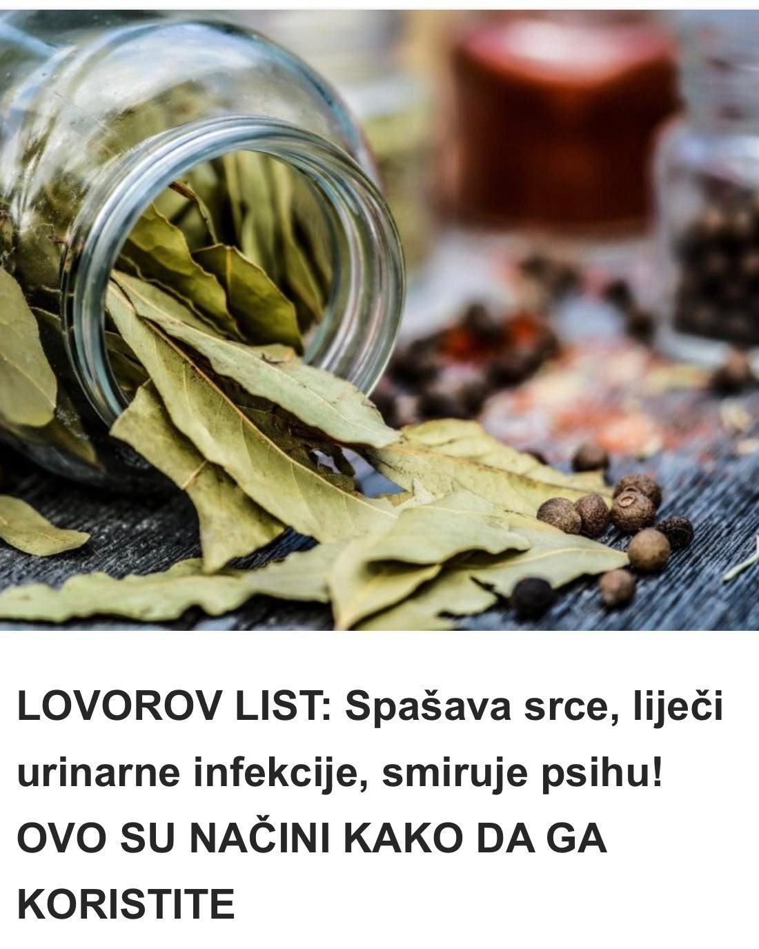 LOVOROV LIST: Spašava srce, liječi urinarne infekcije, smiruje psihu! OVO SU NAČINI KAKO DA GA KORISTITE