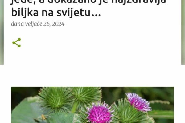 DOBRA JE ZA SVE, OD SRCA DO SLABE KOSE: Rijetko je ko jede, a dokazano je najzdravija biljka na svijetu…