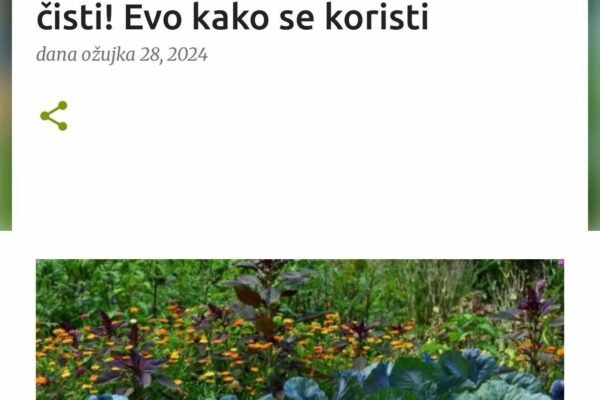 Soda bikarbona u bašti: Cvijeće buja, puževi bježe, zemlja se čisti! Evo kako se koristi