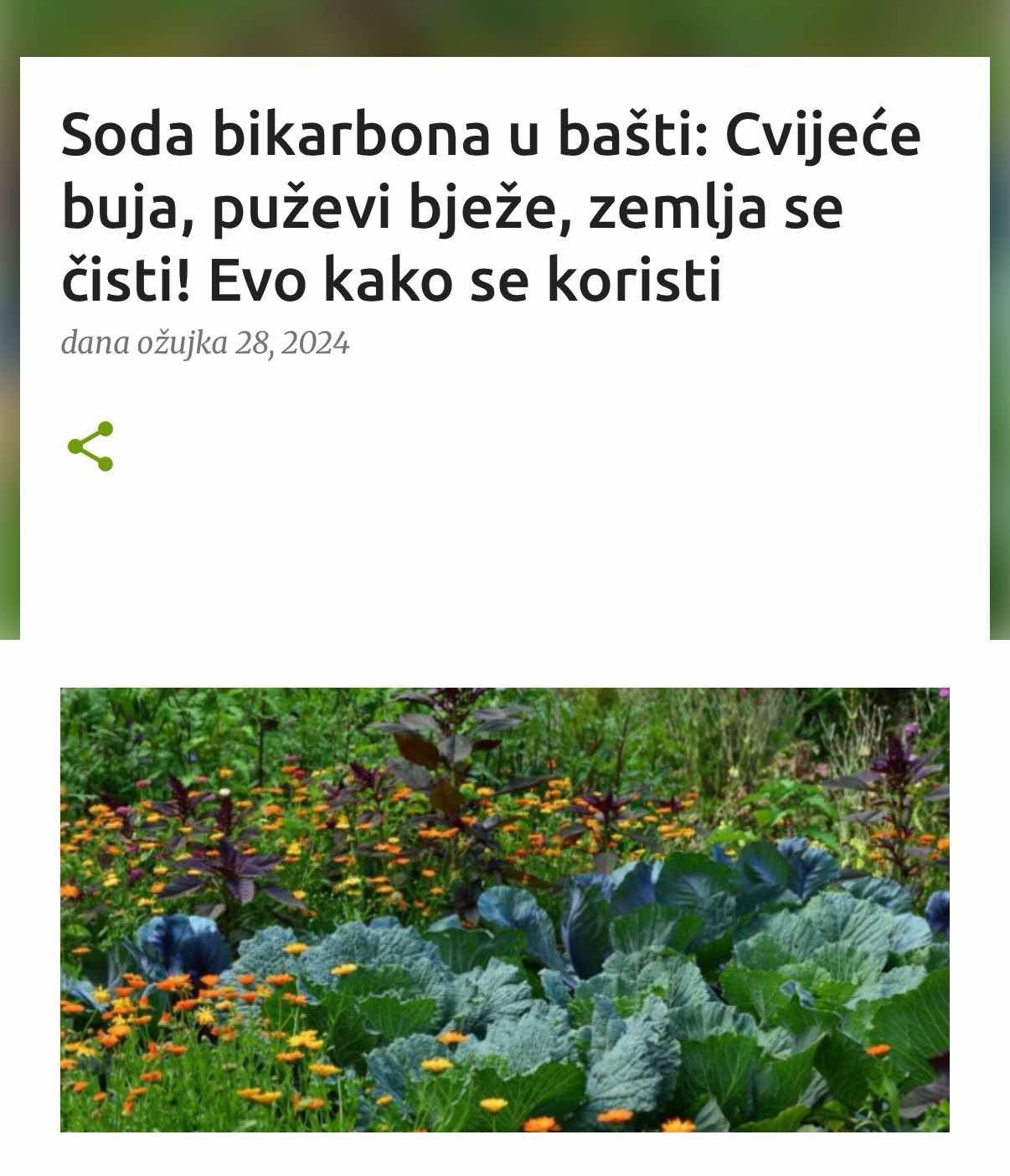 Soda bikarbona u bašti: Cvijeće buja, puževi bježe, zemlja se čisti! Evo kako se koristi