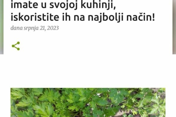 VITKO TIJELO I ODLIČAN HOLESTEROL ZA MJESEC DANA: Ove sastojke sigurno imate u svojoj kuhinji, iskoristite ih na najbolji način!