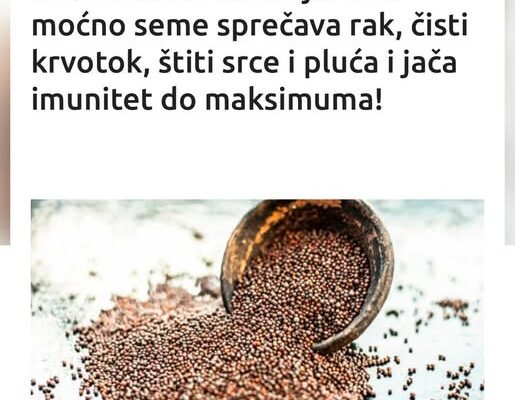 Drevni čuvar zdravlja: Ovo moćno seme sprečava rak, čisti krvotok, štiti srce i pluća i jača imunitet do maksimuma!
