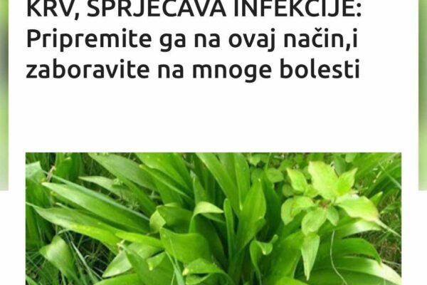 SREMOŠ ČUVA PLUĆA, ČISTI KRV, SPRJEČAVA INFEKCIJE: Pripremite ga na ovaj način,i zaboravite na mnoge bolesti