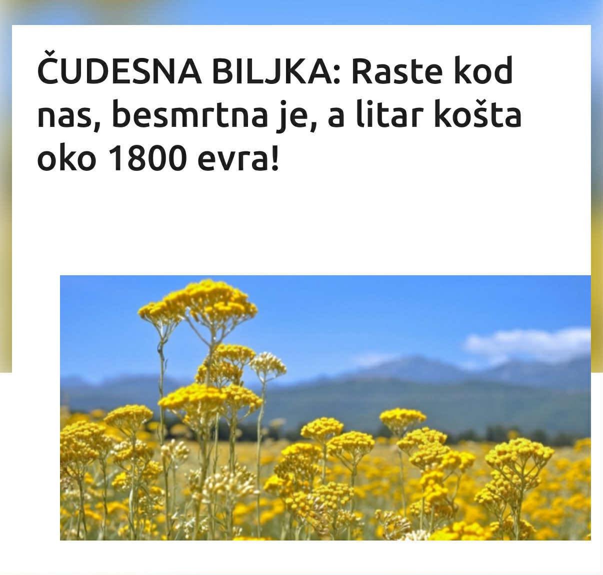 ČUDESNA BILJKA: Raste kod nas, besmrtna je, a litar košta oko 1800 evra!