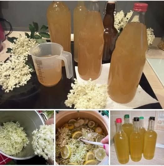 SOKOM OD ZOVE PROTIV OPAKIH BOLESTI: Pravi se lako, ne košta ništa…