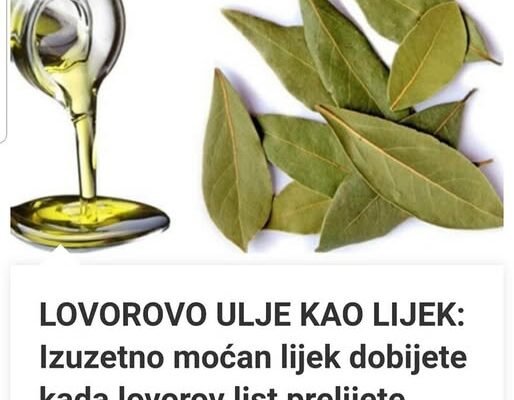 LOVOROVO ULJE KAO LIJEK: Izuzetno moćan lijek dobijete kada lovorov list prelijete maslinovim uljem…