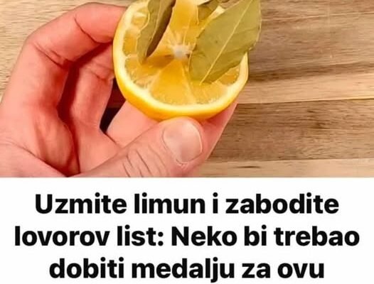Uzmite limun i zabodite L0V0R0V list: Neko bi TREBA0 dobiti medalju za 0VU ideju!