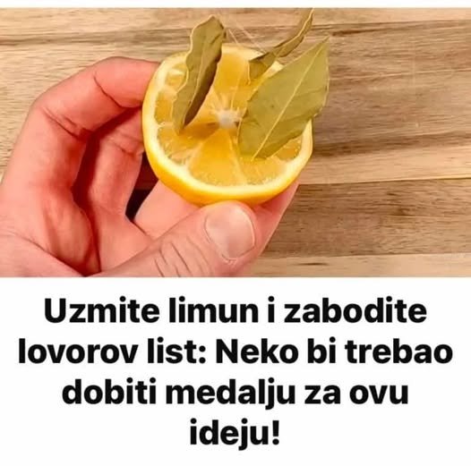 Uzmite limun i zabodite L0V0R0V list: Neko bi TREBA0 dobiti medalju za 0VU ideju!