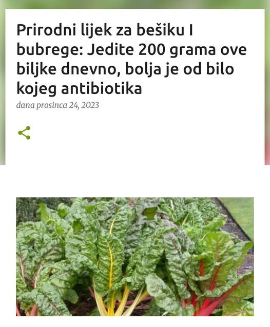 Prirodni lijek za bešiku I bubrege: Jedite 200 grama ove biljke dnevno, bolja je od bilo kojeg antibiotika