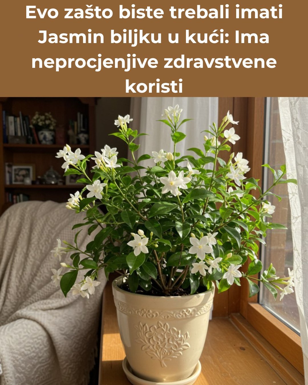 Evo zašto biste trebali imati Jasmin biljku u kući: Ima neprocjenjive zdravstvene koristi
