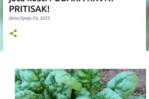 NEMA NIŠTA BOLJE OD OVE BILJKE: Sprječava karcinom, jača kosti i OBARA KRVNI PRITISAK!