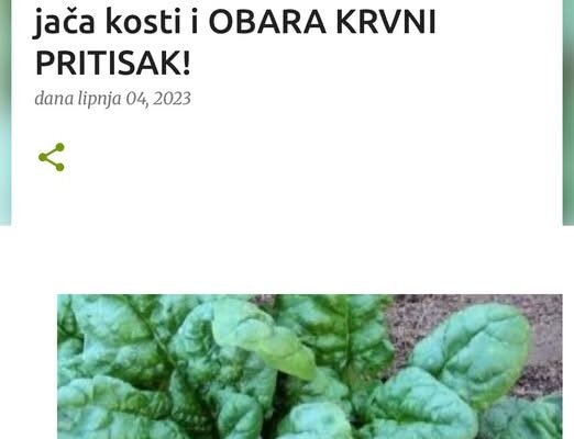 NEMA NIŠTA BOLJE OD OVE BILJKE: Sprječava karcinom, jača kosti i OBARA KRVNI PRITISAK!