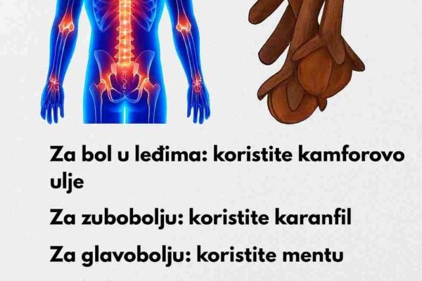 Bolovi i nelagodnosti su česti dio svakodnevnog života, a umjesto da uvijek posežemo za tabletama, priroda nam nudi brojne sastojke koji mogu pružiti olakšanje. Kroz stoljeća, različite biljke i ulja koristili su se kao prirodni lijekovi protiv bolova, a njihova djelotvornost potvrđena je i u modernom vremenu. ✅ Evo nekoliko moćnih prirodnih rješenja za ublažavanje bolova: 1️⃣ Kamforovo ulje – koristi se kod bolova u leđima jer pruža zagrijavajući i umirujući efekat. 2️⃣ Karanfilić – dobro poznat lijek za zubobolju zahvaljujući svojim svojstvima utrnulosti. 3️⃣ Menta – smanjuje glavobolje svojim rashlađujućim i umirujućim djelovanjem. 4️⃣ Kurkuma – zahvaljujući protuupalnim svojstvima pomaže kod bolova u zglobovima. 5️⃣ Đumbir – tradicionalno se koristi za ublažavanje bolova u mišićima i poboljšanje cirkulacije. 6️⃣ Bijeli luk – poznat po svojim antibakterijskim i antiupalnim svojstvima, često se koristi kod bolova u uhu. 7️⃣ Ružmarin – eterično ulje ružmarina pomaže kod bolova u mišićima i zglobovima, ali i kod migrena. 8️⃣ Lavanda – eterično ulje lavande pomaže da se tijelo opusti i smanjuje napetost koja uzrokuje bol. ✨ Redovno korištenje ovih prirodnih sastojaka može značajno doprinijeti ublažavanju uobičajenih bolova i poboljšanju kvaliteta života. Naravno, kod ozbiljnijih ili hroničnih tegoba uvijek se preporučuje konsultacija sa ljekarom, ali priroda ostaje snažan saveznik u očuvanju zdravlja i ravnoteže.