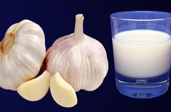 Iako kombinacija bijelog luka i mlijeka može zvučati neobično, ovaj tradicionalni napitak se koristi stoljećima u raznim kulturama zbog svojih brojnih zdravstvenih koristi. Bijeli luk, poznat po antibakterijskim i antivirusnim svojstvima, u kombinaciji s mlijekom, bogatim vitaminima i mineralima, stvara moćan prirodni eliksir koji može poboljšati vaše zdravlje na više načina. ✅ Prednosti mješavine bijelog luka i mlijeka 1️⃣ Jačanje imunološkog sistema Bijeli luk je prava superhrana kada je u pitanju jačanje imuniteta. Sadrži alicin, prirodni spoj koji pomaže u borbi protiv infekcija. Mlijeko, s druge strane, sadrži vitamin D koji podržava normalan rad imunološkog sistema. Zajedno, oni čine moćnu kombinaciju koja pomaže tijelu da se odupre bolestima. 2️⃣ Zdravlje srca i krvnih sudova Brojna istraživanja pokazuju da bijeli luk snižava krvni pritisak i holesterol, dva ključna faktora za zdravlje srca. Mlijeko, bogato kalijem, dodatno pomaže u regulisanju pritiska, pa ova kombinacija može pozitivno uticati na kardiovaskularno zdravlje. 3️⃣ Poboljšava varenje Mlijeko je poznato po svojim umirujućim efektima na želudac, dok bijeli luk stimulira lučenje probavnih enzima i smanjuje nadutost i probavne smetnje. Zajedno doprinose zdravijem i uravnoteženom varenju. 4️⃣ Protuupalna svojstva Bijeli luk sadrži prirodne antiinflamatorne spojeve koji pomažu u smanjenju upala u tijelu. Mlijeko takođe sadrži hranjive materije koje ublažavaju upale, što ovu mješavinu čini korisnom kod hroničnih bolova i upalnih stanja. 5️⃣ Blagotvorno djeluje na kožu Bijeli luk je bogat vitaminom E i pomaže u regeneraciji kože, dok mlijeko hidratizira i omekšava kožu. Zajedno mogu doprinijeti zdravom, svježem i blistavom tenu. 🥛 Kako pripremiti i koristiti ovu mješavinu Sastojci: 1 do 2 čehna bijelog luka (zdrobljena) 1 čaša mlijeka Priprema: Zagrijte mlijeko u šerpi, ali pazite da ne proključa. Dodajte bijeli luk u toplo mlijeko i pustite da se lagano kuha nekoliko minuta kako bi se aktivni sastojci oslobodili. Isključite vatru i ostavite da odstoji par minuta. Procijedite napitak i pijte ga dok je još topao. Preporuka: Pijte jednom dnevno, najbolje uveče, jer napitak ima smirujuće dejstvo i pomaže probavi. Ako ne podnosite kravlje mlijeko, možete koristiti biljne alternative poput bademovog ili sojinog mlijeka. 🧾 Zaključak Mješavina bijelog luka i mlijeka možda zvuči neobično, ali njene zdravstvene prednosti su višestruke i potvrđene tradicionalnom upotrebom. Ona: jača imunitet 💪 poboljšava zdravlje srca ❤️ olakšava varenje 🍽️ smanjuje upale 🌿 i njeguje kožu ✨ Uključite ovaj jednostavan prirodni napitak u svoju svakodnevnu rutinu i uživajte u njegovim blagodatima! 🌼