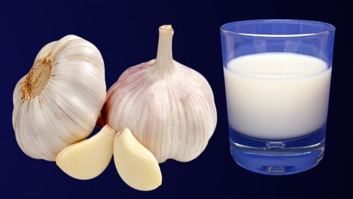 Iako kombinacija bijelog luka i mlijeka može zvučati neobično, ovaj tradicionalni napitak se koristi stoljećima u raznim kulturama zbog svojih brojnih zdravstvenih koristi. Bijeli luk, poznat po antibakterijskim i antivirusnim svojstvima, u kombinaciji s mlijekom, bogatim vitaminima i mineralima, stvara moćan prirodni eliksir koji može poboljšati vaše zdravlje na više načina. ✅ Prednosti mješavine bijelog luka i mlijeka 1️⃣ Jačanje imunološkog sistema Bijeli luk je prava superhrana kada je u pitanju jačanje imuniteta. Sadrži alicin, prirodni spoj koji pomaže u borbi protiv infekcija. Mlijeko, s druge strane, sadrži vitamin D koji podržava normalan rad imunološkog sistema. Zajedno, oni čine moćnu kombinaciju koja pomaže tijelu da se odupre bolestima. 2️⃣ Zdravlje srca i krvnih sudova Brojna istraživanja pokazuju da bijeli luk snižava krvni pritisak i holesterol, dva ključna faktora za zdravlje srca. Mlijeko, bogato kalijem, dodatno pomaže u regulisanju pritiska, pa ova kombinacija može pozitivno uticati na kardiovaskularno zdravlje. 3️⃣ Poboljšava varenje Mlijeko je poznato po svojim umirujućim efektima na želudac, dok bijeli luk stimulira lučenje probavnih enzima i smanjuje nadutost i probavne smetnje. Zajedno doprinose zdravijem i uravnoteženom varenju. 4️⃣ Protuupalna svojstva Bijeli luk sadrži prirodne antiinflamatorne spojeve koji pomažu u smanjenju upala u tijelu. Mlijeko takođe sadrži hranjive materije koje ublažavaju upale, što ovu mješavinu čini korisnom kod hroničnih bolova i upalnih stanja. 5️⃣ Blagotvorno djeluje na kožu Bijeli luk je bogat vitaminom E i pomaže u regeneraciji kože, dok mlijeko hidratizira i omekšava kožu. Zajedno mogu doprinijeti zdravom, svježem i blistavom tenu. 🥛 Kako pripremiti i koristiti ovu mješavinu Sastojci: 1 do 2 čehna bijelog luka (zdrobljena) 1 čaša mlijeka Priprema: Zagrijte mlijeko u šerpi, ali pazite da ne proključa. Dodajte bijeli luk u toplo mlijeko i pustite da se lagano kuha nekoliko minuta kako bi se aktivni sastojci oslobodili. Isključite vatru i ostavite da odstoji par minuta. Procijedite napitak i pijte ga dok je još topao. Preporuka: Pijte jednom dnevno, najbolje uveče, jer napitak ima smirujuće dejstvo i pomaže probavi. Ako ne podnosite kravlje mlijeko, možete koristiti biljne alternative poput bademovog ili sojinog mlijeka. 🧾 Zaključak Mješavina bijelog luka i mlijeka možda zvuči neobično, ali njene zdravstvene prednosti su višestruke i potvrđene tradicionalnom upotrebom. Ona: jača imunitet 💪 poboljšava zdravlje srca ❤️ olakšava varenje 🍽️ smanjuje upale 🌿 i njeguje kožu ✨ Uključite ovaj jednostavan prirodni napitak u svoju svakodnevnu rutinu i uživajte u njegovim blagodatima! 🌼