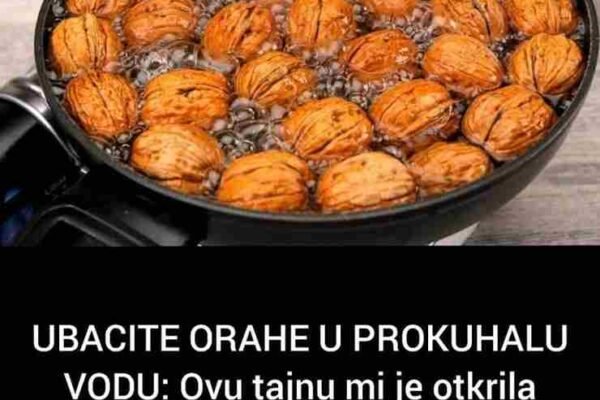 Uzela sam nekoliko cijelih oraha, zajedno sa ljuskom, i ubacila ih u ključalu vodu. Ostavila sam ih da odstoje nekih desetak minuta, a zatim sam popila taj napitak. Već nakon nekoliko dana osjetila sam promjene koje nisam mogla ignorisati. Imala sam više energije, koža mi je postala sjajnija, a probava se stabilizovala bez ikakvih dodatnih preparata. Tokom narednih sedmica nastavila sam s istim ritualom i primijetila još dublje promjene. Nestao je osjećaj nadutosti, imunitet mi se pojačao, a san mi je postao znatno kvalitetniji. Nije bilo više buđenja usred noći, osjećaja nervoze ili nedostatka koncentracije tokom dana. Postepeno sam shvatila da je ovaj jednostavan napitak izuzetno moćan. Baka mi je objasnila da tokom kuhanja orasi oslobađaju mnoge korisne komponente iz ljuske koje se inače ne unose običnim konzumiranjem jezgre. Upravo u toj tvrdoj zaštitnoj kori nalazi se mnoštvo minerala koji direktno utiču na rad srca, krvni pritisak, pa čak i na regulaciju šećera u krvi. Ono što je mene iznenadilo jeste da sam se osjećala mentalno bistrije, kao da su mi misli bile jasnije i fokusiranije. Počela sam pretraživati stare knjige i bilješke moje bake koje su ostale iza nje, i pronašla sam brojne zapise o ljekovitim svojstvima oraha, posebno kada se koriste na ovaj način. Nisu to bile samo anegdote već iskustva žena iz njenog sela koje su imale slične benefite od ove metode. Kod nekih je poboljšala zdravlje kostiju, kod drugih je pomogla kod hormonalne ravnoteže. Ono što me dodatno oduševilo jeste činjenica da je ova praksa u posljednje vrijeme potvrđena i kroz neka istraživanja. Naučnici su dokazali da orahova ljuska sadrži jedinstvene antioksidanse koji mogu usporiti proces starenja, smanjiti upalne procese u tijelu i ojačati vaskularni sistem. Neki stručnjaci su čak sugerisali da redovno ispijanje vode u kojoj su se kuhali orasi može pomoći u regulaciji holesterola i krvnog pritiska. Sjećam se da mi je baka znala reći da priroda uvijek nudi rješenje, samo ga treba znati prepoznati. Danas, kada svi jurimo za suplementima i modernim tretmanima, zaboravljamo da prava moć često leži u jednostavnim stvarima koje su nam dostupne svakodnevno. Naravno, sve ovo ne znači da treba potpuno zanemariti savremenu medicinu, ali vjerujem da balans između tradicionalnih metoda i savremenog znanja može donijeti nevjerovatne rezultate. Ova jednostavna voda od kuhanih oraha nije čudesan eliksir, ali je svakako jedno prirodno sredstvo koje tijelu pruža mnogo više nego što mislimo. Danas, kada i sama imam porodicu, odlučila sam ovu tradiciju prenijeti svojoj djeci. Svako jutro zajedno pijemo ovaj napitak i razgovaramo o bakinoj mudrosti, o tome koliko je važno poštovati prirodu i ono što nam ona daje. To je više od zdravlja – to je povezanost s korijenima. Možda vam ova priča zvuči kao još jedan narodni mit, ali vas pozivam da pokušate. Ne treba vam ništa skupo ni egzotično, samo malo vremena, topline i nekoliko oraha. Možda baš u toj skromnosti leži tajna dugog i ispunjenog života. U svijetu prepunom reklama za skupe tretmane, podsjetimo se koliko su jednostavni recepti naših baka često bili najefikasniji. Orasi u prokuhanoj vodi nisu samo zdrav napitak – oni su uspomena, znanje, i naslijeđe koje se prenosi s generacije na generaciju. Ako ste voljni pokušati, možda vas iznenadi koliko se dobro možete osjećati već nakon samo nekoliko dana. A možda ćete, baš kao i ja, poželjeti prenijeti ovu tajnu i nekome koga volite.