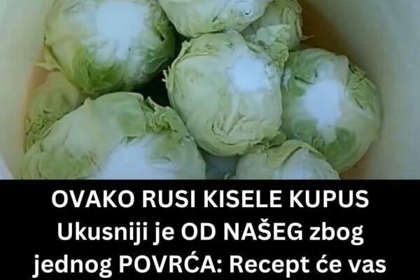 Rasporedite rukama. Ogulite rotkvicu i izrendajte na krupno i dodajte ostatku povrća. Prebacite u čistu, sterilisovanu teglu. Dobro promešajte. Izgnječite tako da kupus bude potpuno prekriven sokom. Ostaviti 5–7 dana na sobnoj temperaturi. Povremeno promešajte drvenom varjačom. NEĆETE VEROVATI ZBOG ČEGA SE KVARI KISELI KUPUS – DOBRO OBRATITE PAŽNJU Novi recepti za kiseo kupus obično počinju rečima – na toliko i toliko kupusa (ili vode) ide toliko soli… Međutim, stari domaćini nikada nisu kupovali so baš po takvoj meri, već je u kući morala da postoji dovoljna rezerva. Oni su se za ostavljanje kupusa za zimu počinjali na sledeći način – kupovinom najboljeg kupusa! Idealno bi bilo da prvo kupite jednu ili dve glavice i proverite da li kupus ima slatkast ukus. Ako ima, to je pravi, a ako malo ljuti, bolje ga potrošite za salatu ili kuvanje, a za burence tražite neki drugi. Takođe, proverite da slučajno nema puževa golaća u glavici, jer ako je rod takav, kiseli kupus se neće održati. Dobre su one sorte koje imaju tanje “žile”, a poslovično su najbolji “futoški” i “srpski melez.” Kad odaberete pravi kupus, očistite ga temeljno od spoljnih listova a onda zarežite svaki koren “na krst” i izvadite sredinu što više možete. U svaku izdubljenu glavicu sipajte po kašičicu soli, pa ih ređajte pažljivo jednu uz drugu. Glavice ne smeju da se pritiska, ali ni da budu suviše labavo spakovane. Otvor u korenu, u kome je so, ostaje okrenut na gore. Dok ređate glavice, sa strane uglasite i plastično crevo koje treba da ide od dna do vrha bureta. Služiće za pretakanje rasola. Kad poređate glavice, postavite plastičnu rešetku ili čamove daščice i pritisnite kamenom i ostavite preko noći da kupus odstoji. Ako sutradan može da se doda još neka glavica, popunite bure još malo. Razmutite so u hladnoj vodi, tako da ukus bude neprijatno slan. Prelite kupus, zatvorite i već sutradan proverite da li treba dodati još presolca. Čim se počne osećati izmenjen miris, počinje pretakanje i ono se obavlja svaki dan. Crevom izvući pun lonac presolca sa dna bureta, pa ga preliti odozgo preko kupusa. Ponoviti proceduru nekoliko puta.