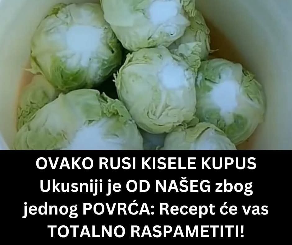 Rasporedite rukama. Ogulite rotkvicu i izrendajte na krupno i dodajte ostatku povrća. Prebacite u čistu, sterilisovanu teglu. Dobro promešajte. Izgnječite tako da kupus bude potpuno prekriven sokom. Ostaviti 5–7 dana na sobnoj temperaturi. Povremeno promešajte drvenom varjačom. NEĆETE VEROVATI ZBOG ČEGA SE KVARI KISELI KUPUS – DOBRO OBRATITE PAŽNJU Novi recepti za kiseo kupus obično počinju rečima – na toliko i toliko kupusa (ili vode) ide toliko soli… Međutim, stari domaćini nikada nisu kupovali so baš po takvoj meri, već je u kući morala da postoji dovoljna rezerva. Oni su se za ostavljanje kupusa za zimu počinjali na sledeći način – kupovinom najboljeg kupusa! Idealno bi bilo da prvo kupite jednu ili dve glavice i proverite da li kupus ima slatkast ukus. Ako ima, to je pravi, a ako malo ljuti, bolje ga potrošite za salatu ili kuvanje, a za burence tražite neki drugi. Takođe, proverite da slučajno nema puževa golaća u glavici, jer ako je rod takav, kiseli kupus se neće održati. Dobre su one sorte koje imaju tanje “žile”, a poslovično su najbolji “futoški” i “srpski melez.” Kad odaberete pravi kupus, očistite ga temeljno od spoljnih listova a onda zarežite svaki koren “na krst” i izvadite sredinu što više možete. U svaku izdubljenu glavicu sipajte po kašičicu soli, pa ih ređajte pažljivo jednu uz drugu. Glavice ne smeju da se pritiska, ali ni da budu suviše labavo spakovane. Otvor u korenu, u kome je so, ostaje okrenut na gore. Dok ređate glavice, sa strane uglasite i plastično crevo koje treba da ide od dna do vrha bureta. Služiće za pretakanje rasola. Kad poređate glavice, postavite plastičnu rešetku ili čamove daščice i pritisnite kamenom i ostavite preko noći da kupus odstoji. Ako sutradan može da se doda još neka glavica, popunite bure još malo. Razmutite so u hladnoj vodi, tako da ukus bude neprijatno slan. Prelite kupus, zatvorite i već sutradan proverite da li treba dodati još presolca. Čim se počne osećati izmenjen miris, počinje pretakanje i ono se obavlja svaki dan. Crevom izvući pun lonac presolca sa dna bureta, pa ga preliti odozgo preko kupusa. Ponoviti proceduru nekoliko puta.