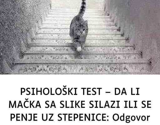 PSIH0 TEST: DA LI MAČKA SA SLIKE SILAZI ILI SE PENJE UZ STEPENICE.. 0DG0V0R otkriva kakva ste LIČN0ST zapravo!
