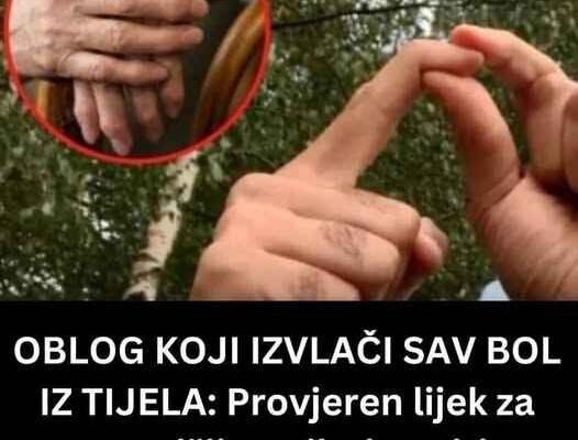 0BL0G K0JI IZVLAČI SAV B0L IZ TIJELA: PR0VJEREN lijek za reumu, išijas, giht i artritis…